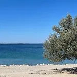 Ohlive * Drage